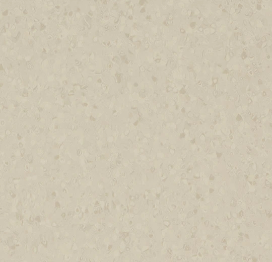 50101 canvas