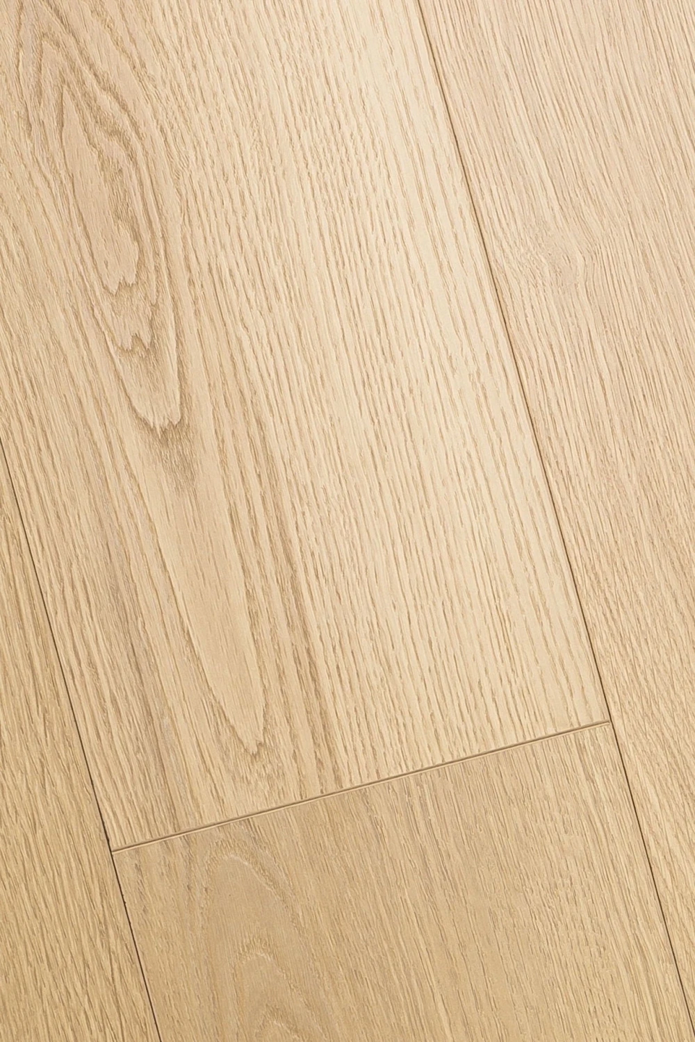 Дуб Церера | Cerera oak 1F416
