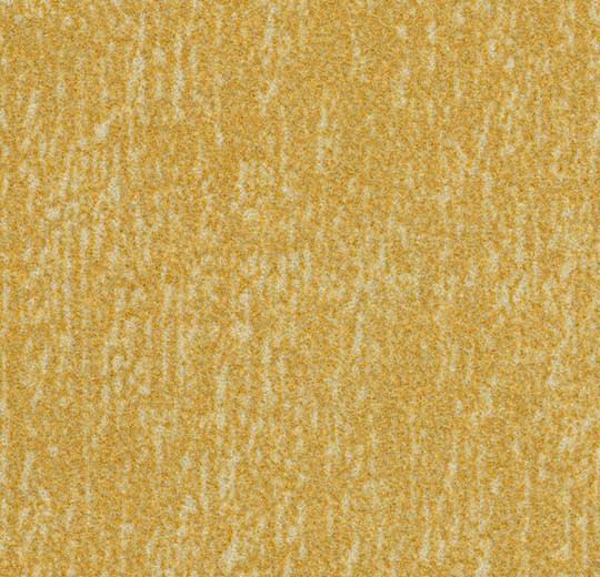 t545030 Canyon sulphur