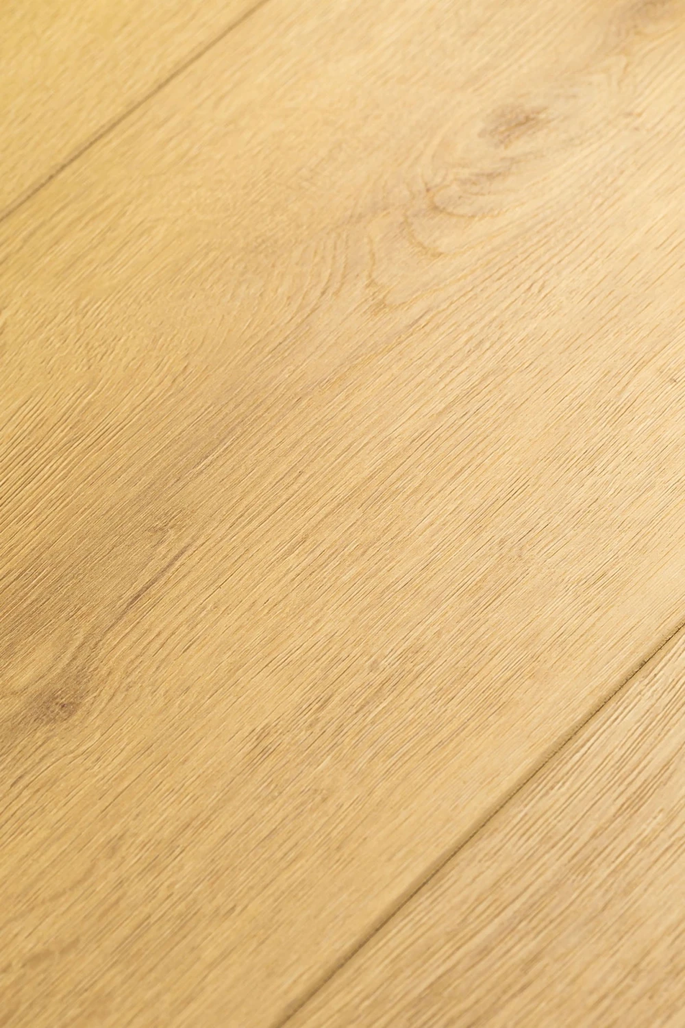Дуб Ювель | Uvel oak 1F425