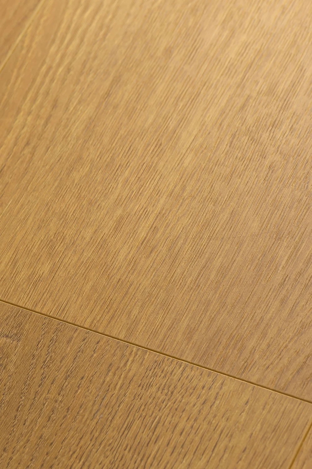 Дуб Апертус | Apertus oak 1F328