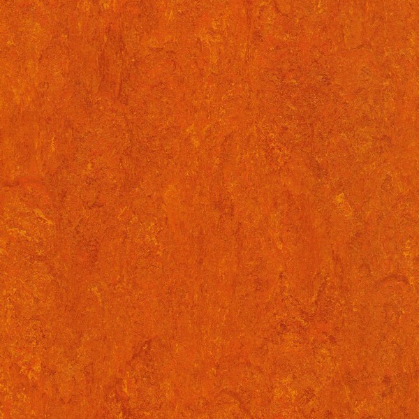 125-117 mandarin orange
