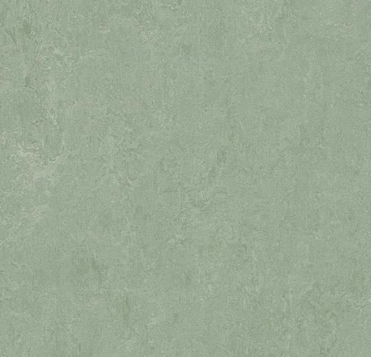 389135 sage