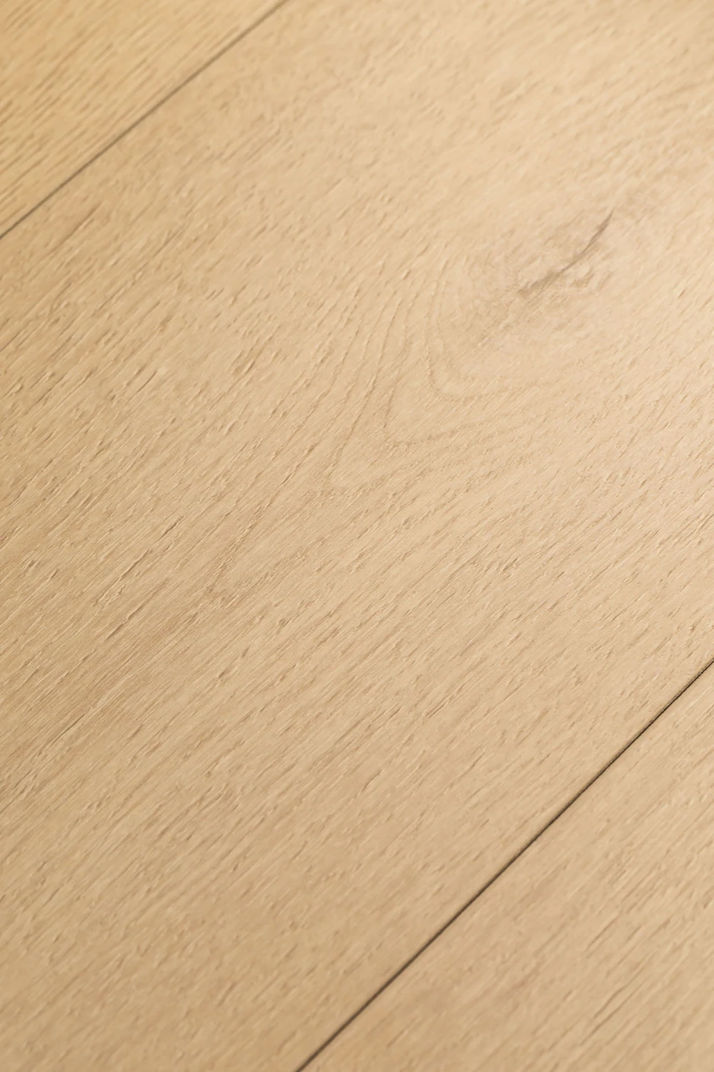 Дуб Одалиска | Odalisque oak 1F426