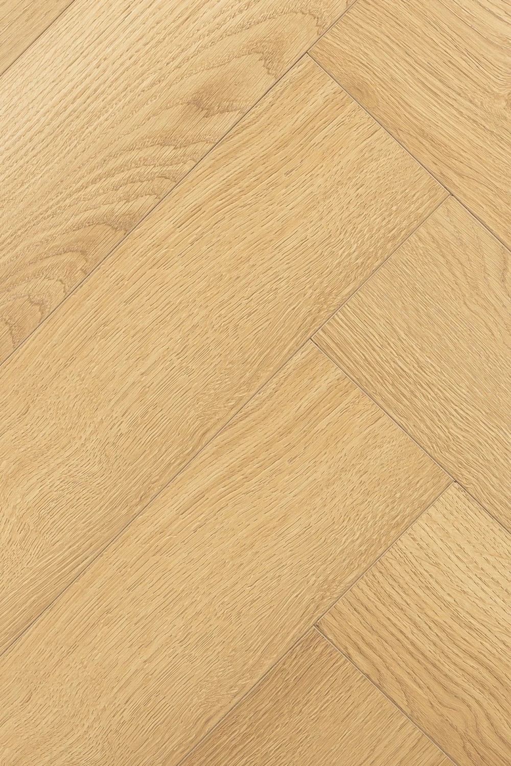 Дуб Церера | Cerera oak 1F436