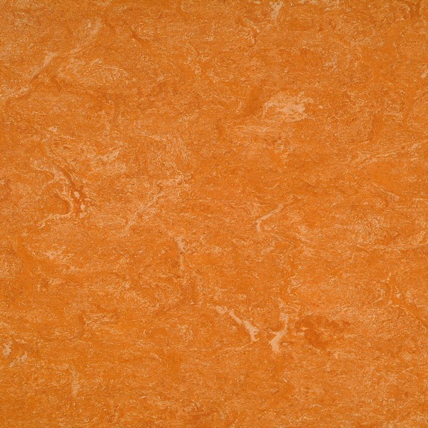 125-073 spicy orange