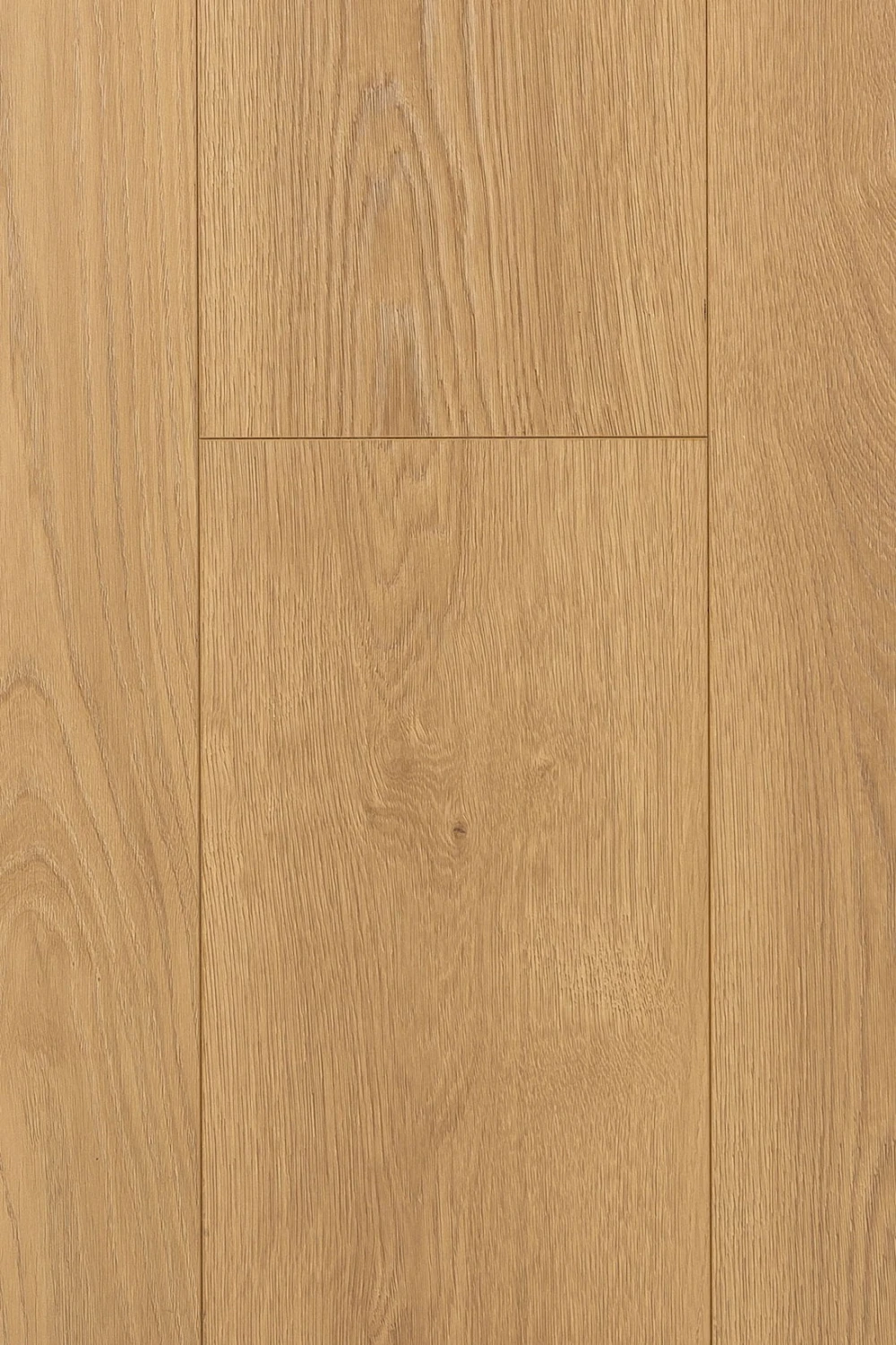 Дуб Аморе | Amore oak 1F308