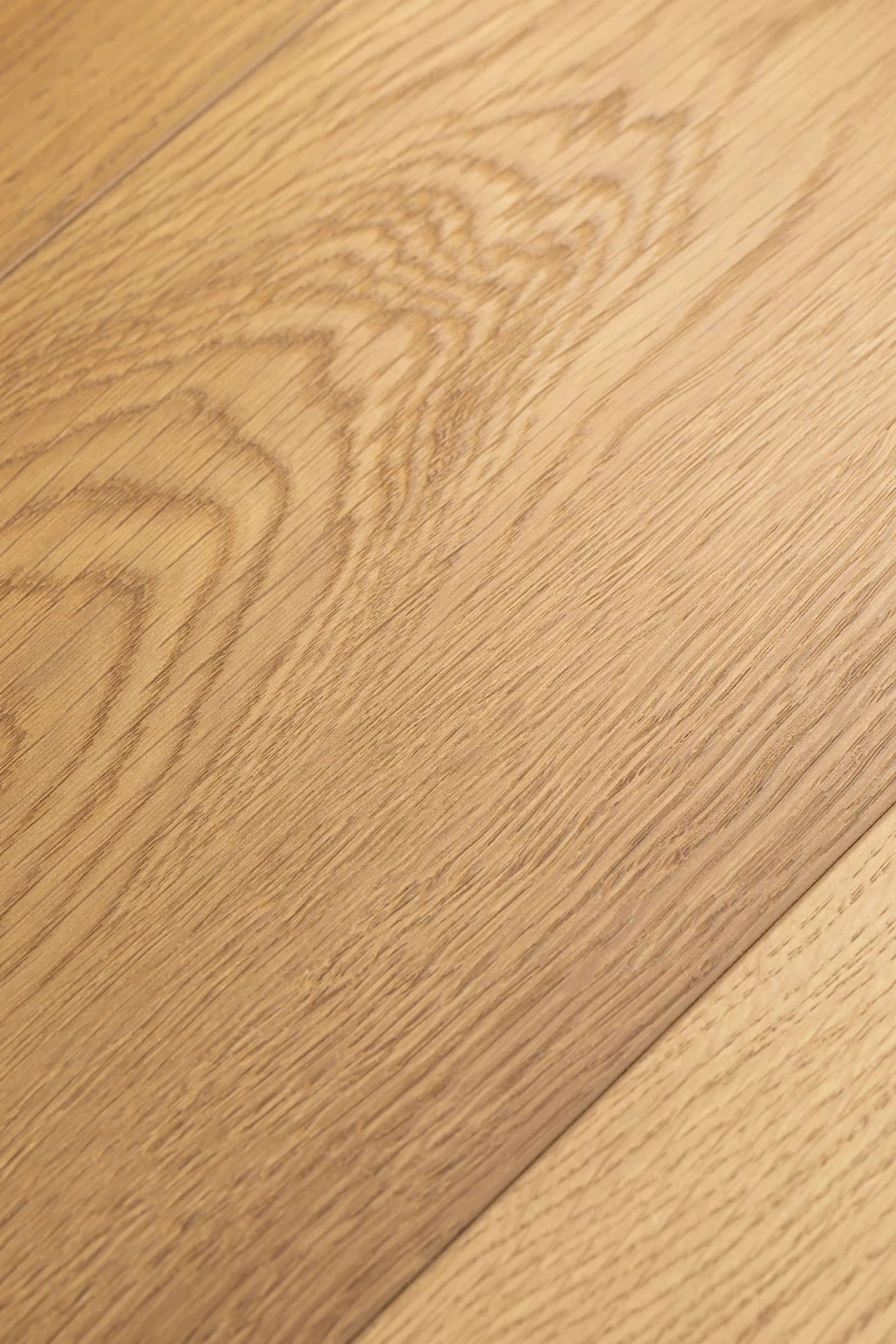 Дуб Люмен | Lumen oak 1F415