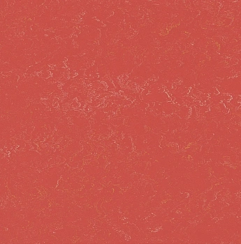0303 Verona